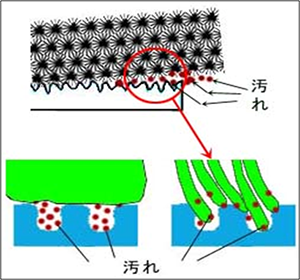日常清掃ゴミ拾い